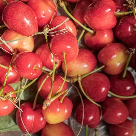 Granducato Di Monteballante Vakantiehuis Pesaro