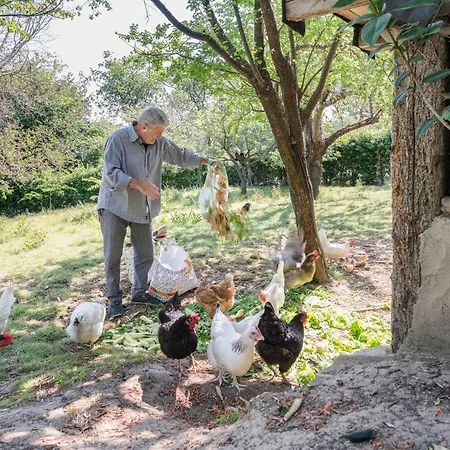 Granducato Di Monteballante