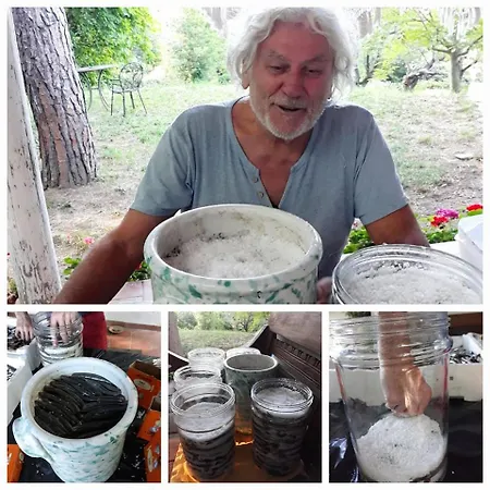 Granducato Di Monteballante Сasa de vacaciones Pésaro