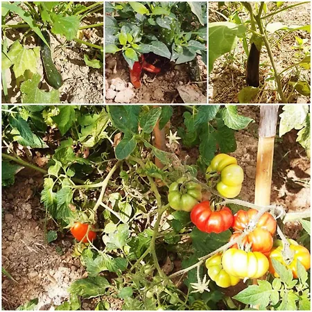 Granducato Di Monteballante Сasa de vacaciones