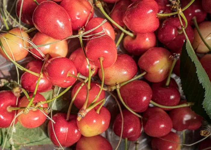 Granducato Di Monteballante Holiday home Pesaro