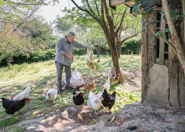 Granducato Di Monteballante