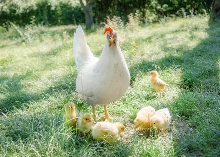 Granducato Di Monteballante Holiday home